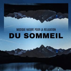 Musique nature pour la relaxation du sommeil: Repos profond dans la nuit. Musique New Age paisible - Nature Académie