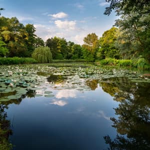 Music For Dancing With The Invisible Winds - Blissful Relaxation Time