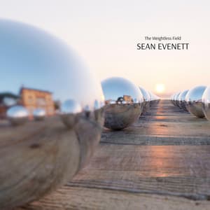 The Weightless Field - Sean Evenett
