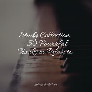 50 Classical Piano Pieces for an Absolute Ambience - Relajante Música de Piano Oasis