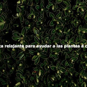Música relajante para ayudar a las plantas a crecer - Evening Jazz Vibes