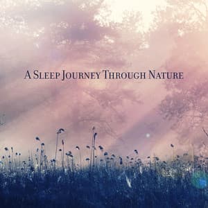 A Sleep Journey Through Nature: Your Comfort Place for Dreaming - Zen Natural Sounds