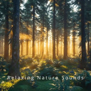 Mountain Streams: Nature's Sleep Soundscapes - Relaxing Nature Sounds