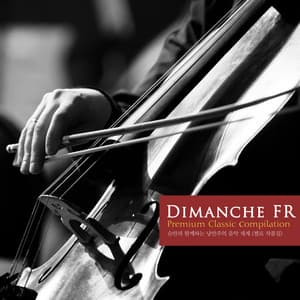 Romantic Music World With Schumann ) - Dimanche FR