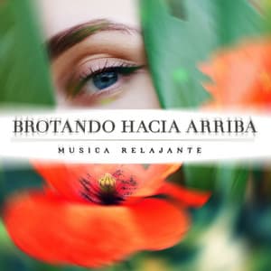 Brotando Hacia Arriba - Música Relajante