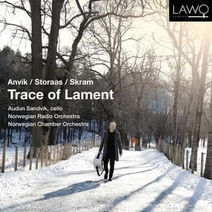 Trace of Lament - Audun Sandvik
