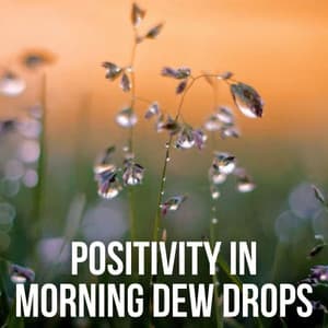 Positivity in Morning Dew Drops - Native American Nature