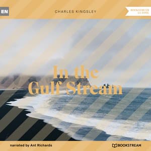 In the Gulf Stream - Ant Richards
