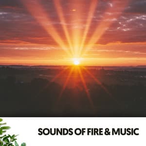 Sounds of Fire & Music: Burning Melodies of the Sun - Dog Relaxation