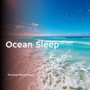 Ocean Sleep - The Ocean Waves Expert