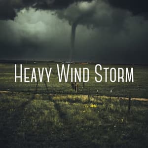 Heavy Wind Storm - Sounds of Nature White Noise for Mindfulness Meditation and Relaxation