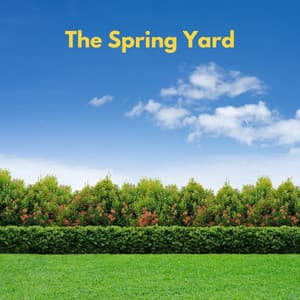 Beverly Hills Walking Trip - Música Tranquila