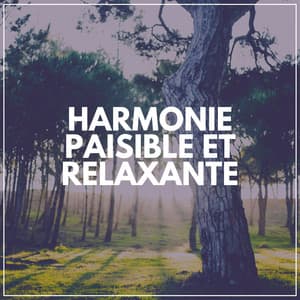 Harmonie Paisible Et Relaxante - Detente Spa Musique Collection
