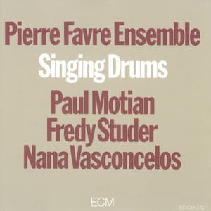 Singing Drums - Pierre Favre