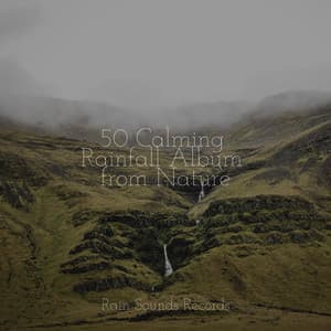 50 Calming Rainfall Album from Nature - Sleep Sounds of Nature