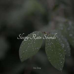Sleepy Rain Sounds - Especialistas de Musica para Dormir