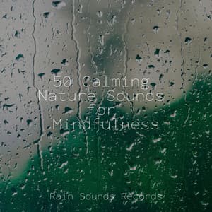 50 Calming Nature Sounds for Mindfulness - Meditation Rain Sounds