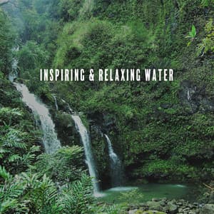 Inspiring & Relaxing Water: Meditation with Nature Sounds, Spring Relaxing Water, Mountain Streams, Stress Relief Forest Water - Healing Waters Zone