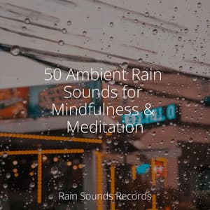 50 Ambient Rain Sounds for Mindfulness & Meditation - Thunderstorm Sound Bank
