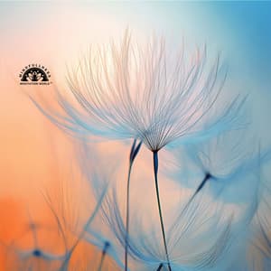 Reconnect with Yourself - Mindfullness Meditation World