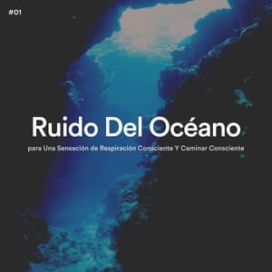 #01 Ruido Del Océano para Una Sensación de Respiración Consciente Y Caminar Consciente - Olas del Mar