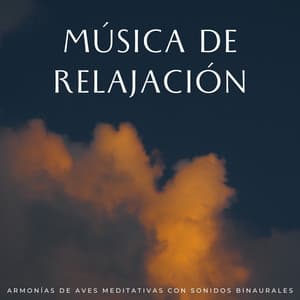Música De Relajación: Armonías De Aves Meditativas Con Sonidos Binaurales - The Unexplainable Store