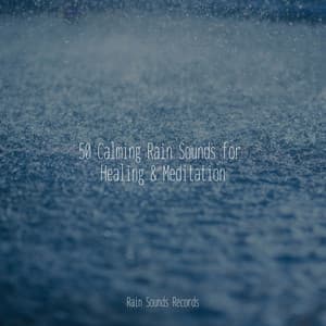 50 Calming Rain Sounds for Healing & Meditation - Ambient