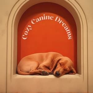 Cozy Canine Dreams - Dog Music