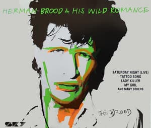 Herman Brood & His Wild Romance - Herman Brood & His Wild Romance