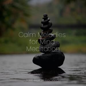 Calm Melodies for Mind Meditation - Meditation Awareness