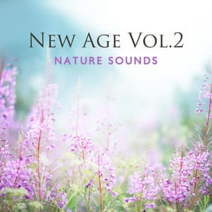 New Age Vol. 2 - Ultimate New Age Academy