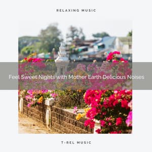 Feel Sweet Nights with Mother Earth Delicious Noises - Nature Sounds Research