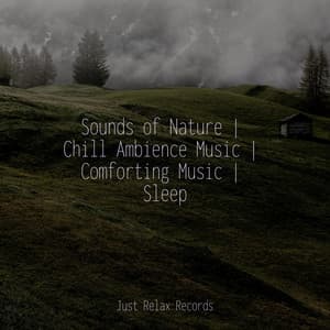 Sounds of Nature | Chill Ambience Music | Comforting Music | Sleep - Relajacion Del Mar