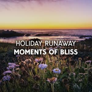 Holiday Runaway Moments Of Bliss - Chemical Bonding