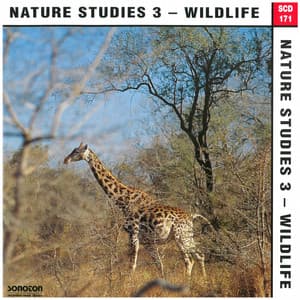 Nature Studies, Vol. 3: Wildlife - John Fox