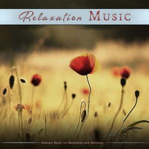 Relaxation Music: Ambient Music for Meditation and Wellness - Relaxation Bliss