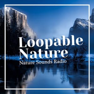 Loopable Nature - Nature Sounds Radio