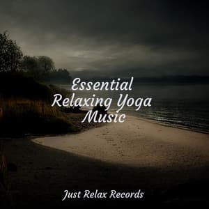 Essential Relaxing Yoga Music - Study Hard