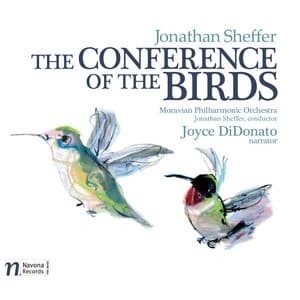 Jonathan Sheffer: The Conference of the Birds - Jonathan Sheffer