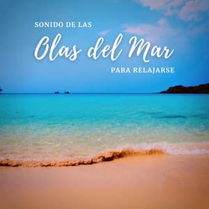 Sonido de las Olas del Mar para Relajarse - Relajación océano y olas