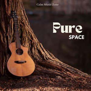 Pure Space: Spa Relaxation - Calm Music Zone