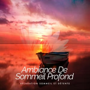 Ambiance De Sommeil Profond - Relaxation Sommeil et Détente