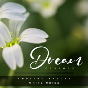 Dream Essence - Ambient Nature White Noise