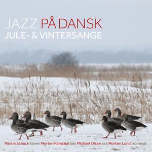 Jazz På Dansk - Jule-& Vintersange - Martin Schack
