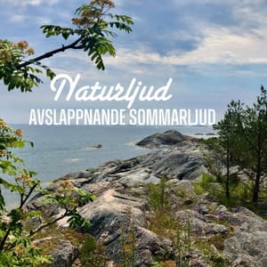 Avslappnande sommarljud - Naturljud