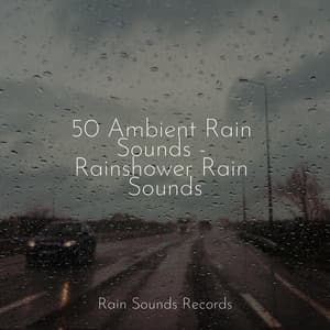 50 Ambient Rain Sounds - Rainshower Rain Sounds - Sea Waves Sounds