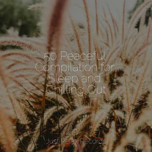 50 Peaceful Compilation for Sleep and Chilling Out - Nursery Rhymes Club