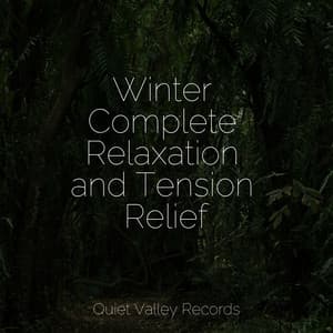 Winter Complete Relaxation and Tension Relief - Yoga Soul