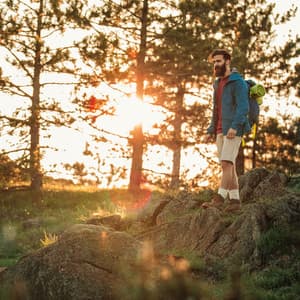 Tranquil Haven: A Nature-Inspired Journey - Matter and Energy