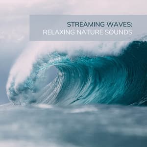 Streaming Waves: Relaxing Nature Sounds - Ocean Sounds